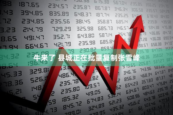 牛来了 县城正在批量复制张雪峰